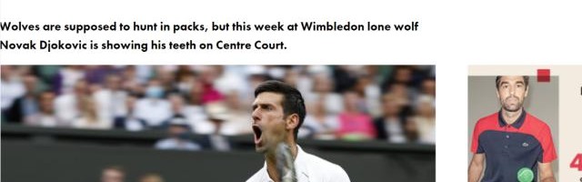 开云娱乐-德约：“90%的比赛，我都还要和现场球迷对抗”